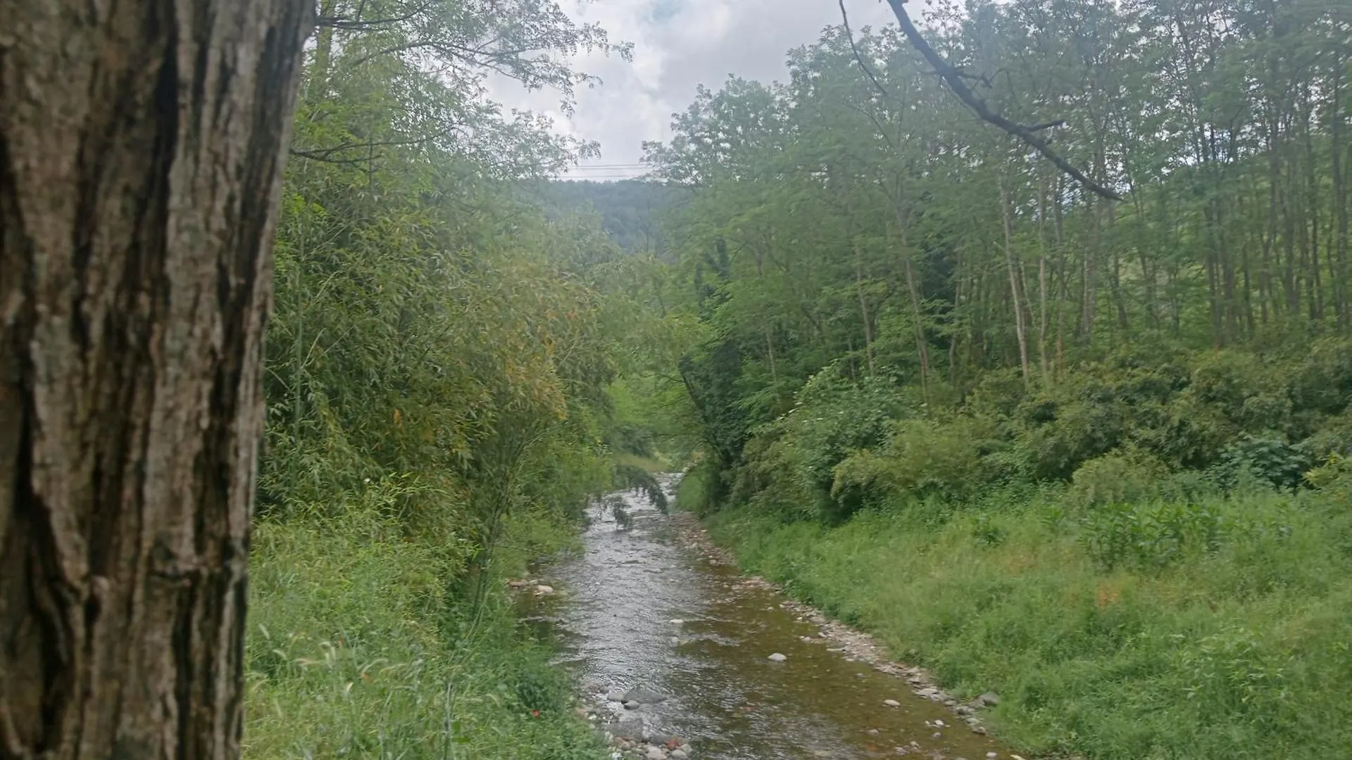 B&B Ducato Delle Seimiglia Camaiore 0*,  Italy